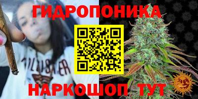 apvp Гагарин