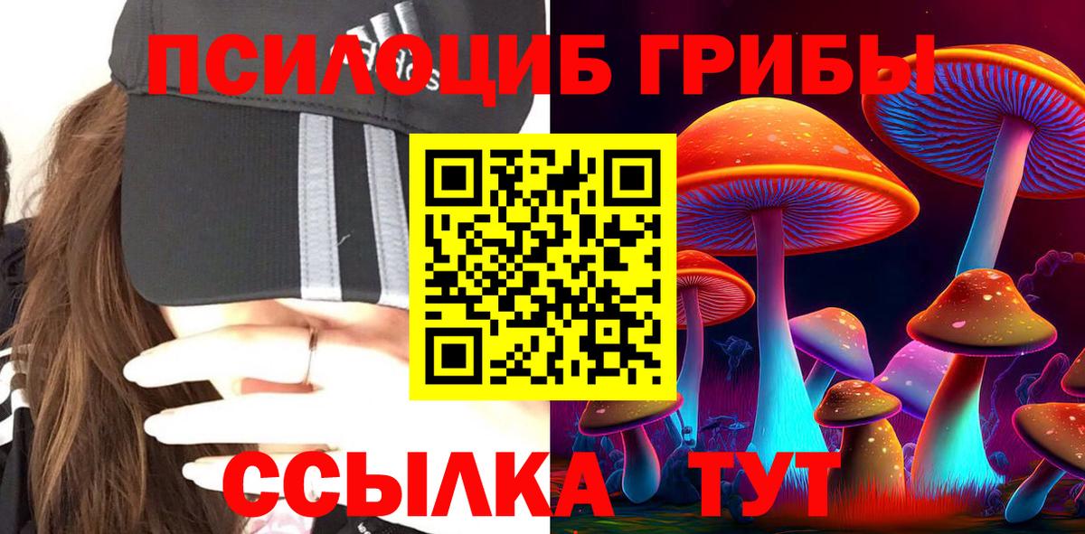 Псилоцибиновые грибы Psilocybine cubensis  Жигулёвск 